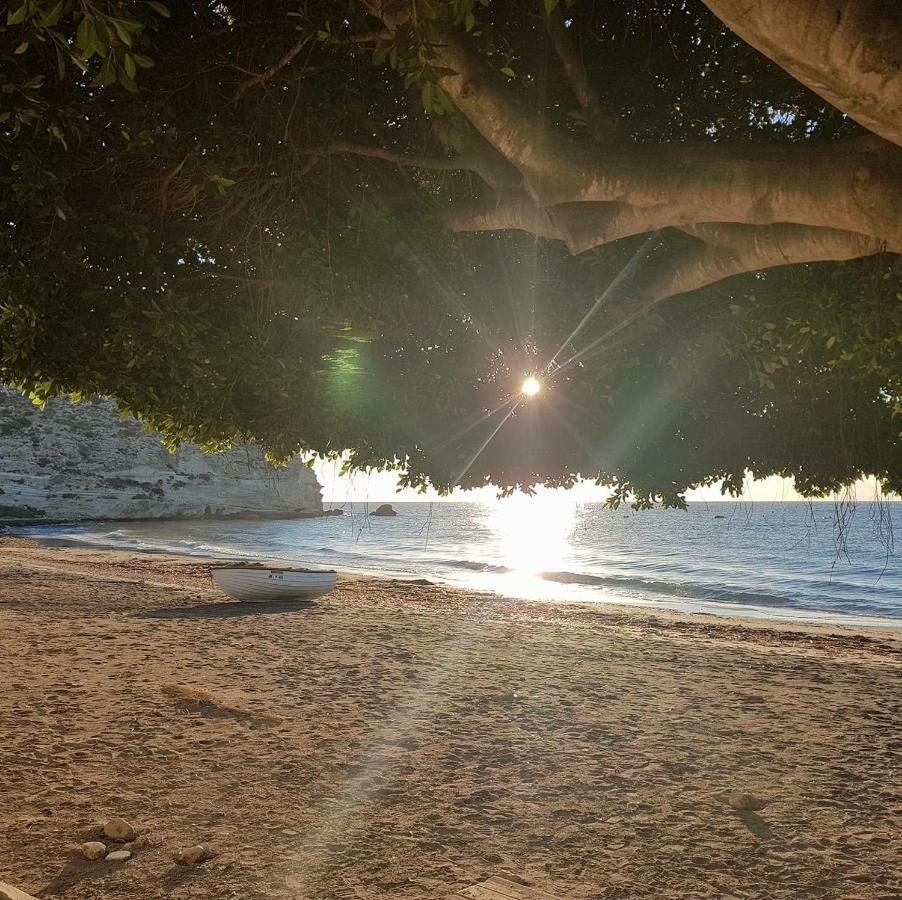 Casa Barbados En Agua Amarga Apartment อากัวอามาร์กา ภายนอก รูปภาพ